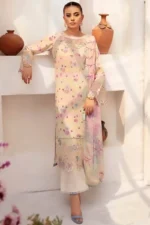 Rangrez by Ramsha | N-704