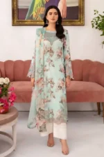 Rangrez by Ramsha | N-709