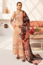 Rangrez by Ramsha | N-710