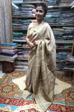 Indian Banarasy Saree | S1